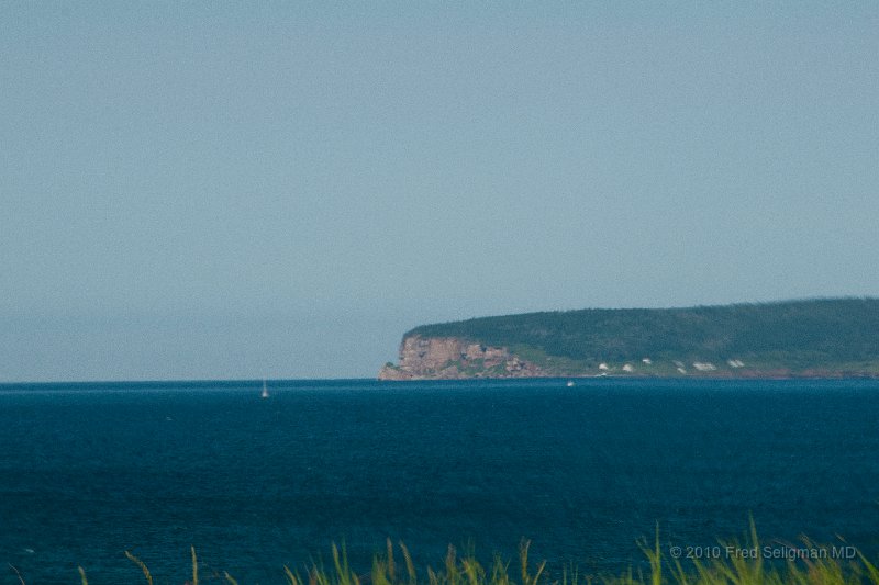 20100720_161815 Nikon D300.jpg - Bonaventure Island, Gaspe peninsula at Perce, QC